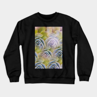 Succulent photographed through prism filter Crewneck Sweatshirt